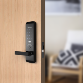 Mortise Smart Lock [Igloohome]